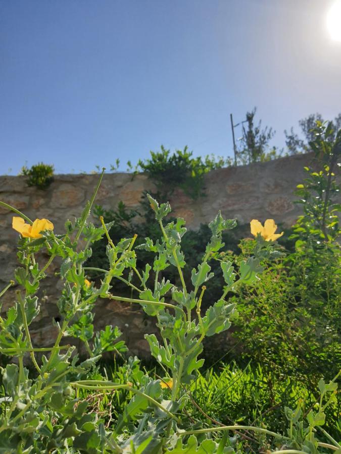 Artolive Datca Exterior photo